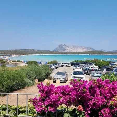 La Cinta * Puntaldia