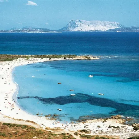 La Cinta Сasa de vacaciones *