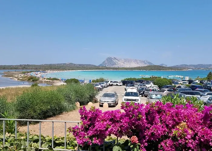 La Cinta * Пунтальдия